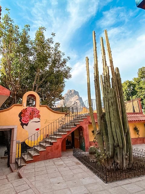 Property view