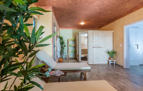 Villa Spirini Dvori for relaxation & fun Hotel in Šibenik-Knin County, Croatia