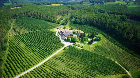 Surrounding environment