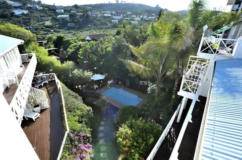 Swimming pool [outdoor]