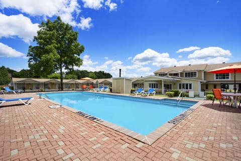 Swimming pool [outdoor]