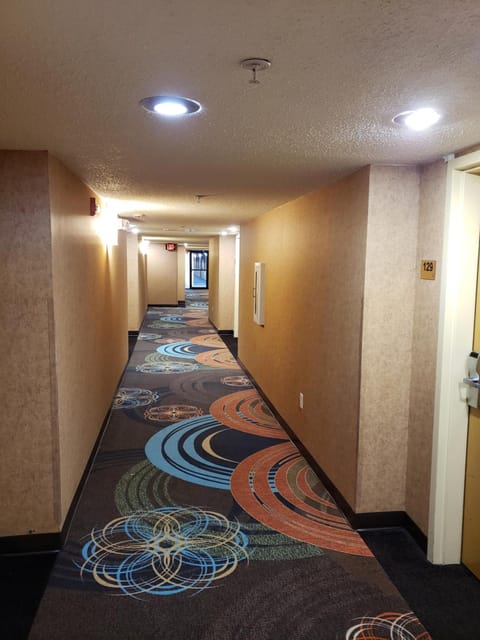 Super 8 By Wyndham Hattiesburg South Hotel in Hattiesburg