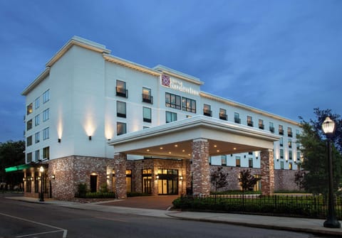 Hilton Garden Inn Mobile Downtown Hotel in Mobile