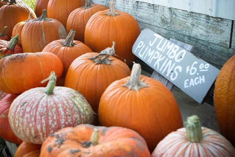 Surrounding environment