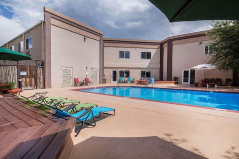 Swimming pool [outdoor]