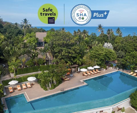 Swimming pool [outdoor]