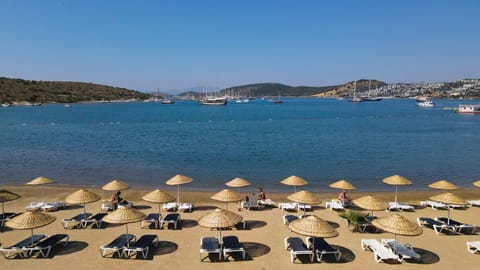 Private beach