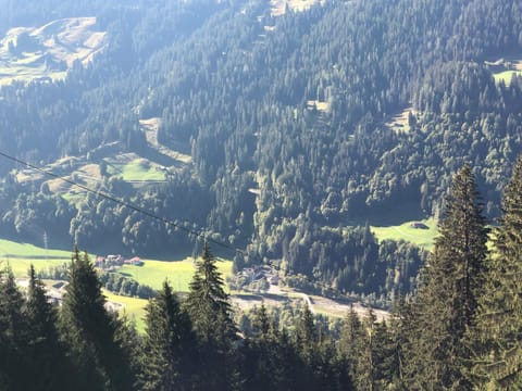 Hotel Bad Serneus Hotel in Vorarlberg, Austria