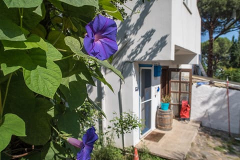 Ecer Pansiyon Apartment hotel in Aydın Province