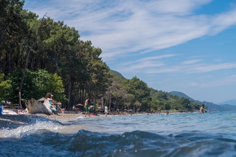 Ecer Pansiyon Apartment hotel in Aydın Province