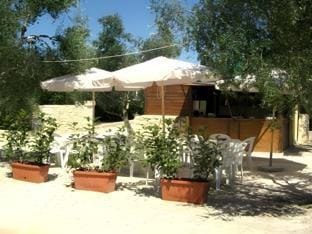 Surrounding environment