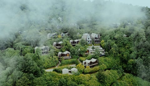 Surrounding environment
