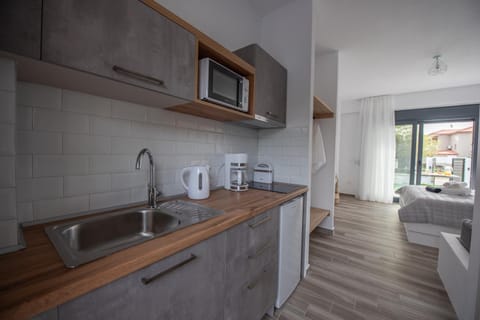 Alios Gaia - Seaside Apartments Apartment hotel in Nikiti