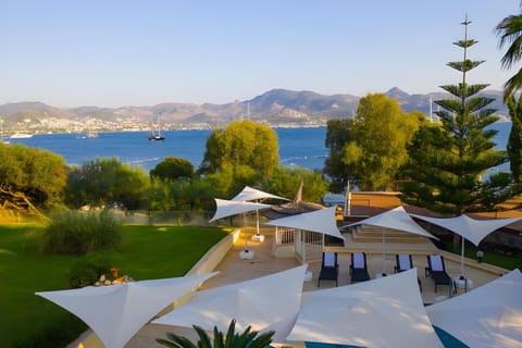 Property view