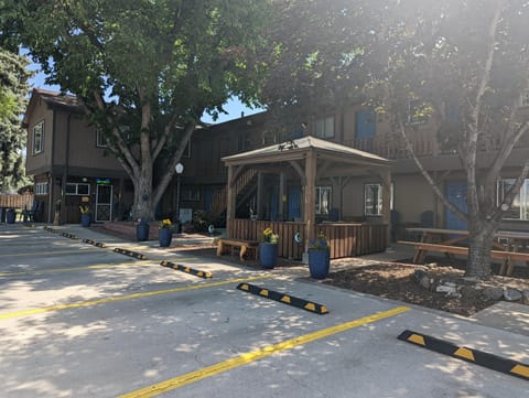 Mesa Moon Motel Motel in Cedaredge