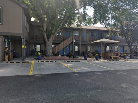 Mesa Moon Motel Motel in Cedaredge