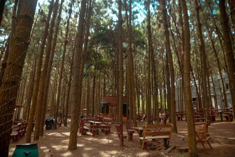 Surrounding environment