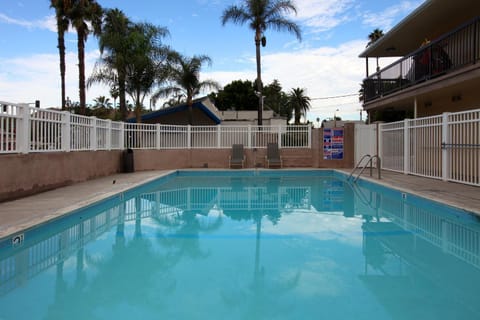 Swimming pool [outdoor]