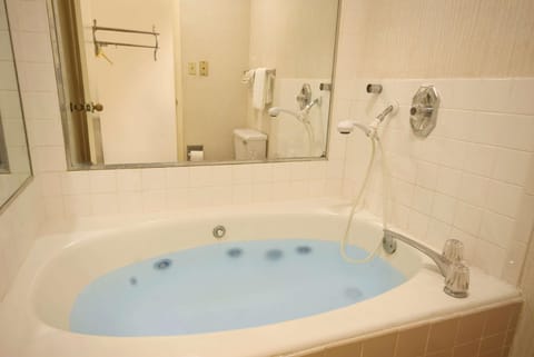 Econo Lodge Mobile Airport Blvd. Hotel in Mobile