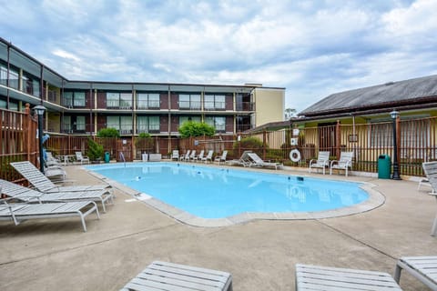 Swimming pool [outdoor]