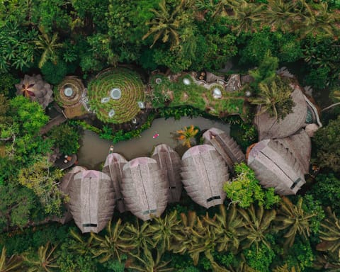 Surrounding environment