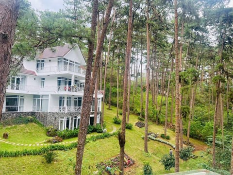 View