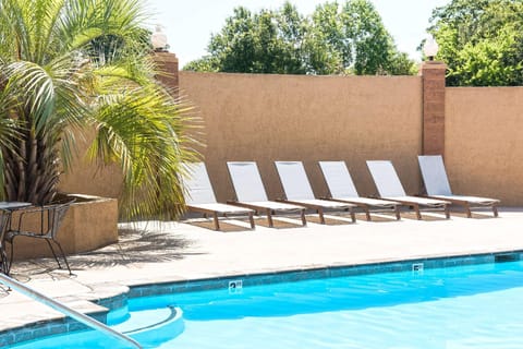 Swimming pool [outdoor]