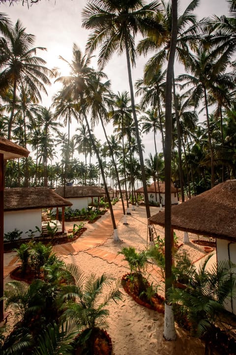 Surrounding environment