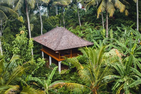 Clove Tree Hill Resort in East Selemadeg