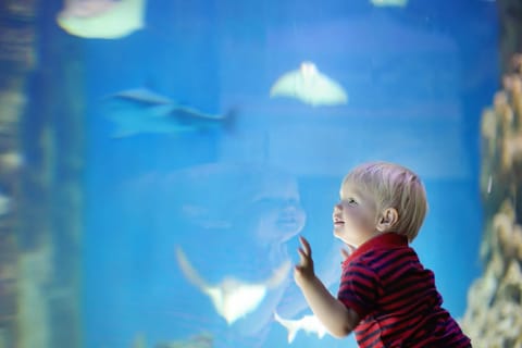 Days Inn by Wyndham Branson Near Theatre District Hotel in Branson