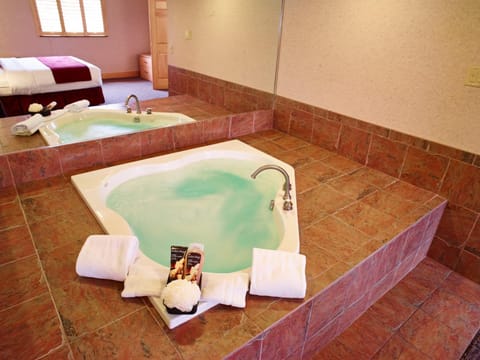 LivINN Hotel Minneapolis North / Fridley Hotel in Columbia Heights