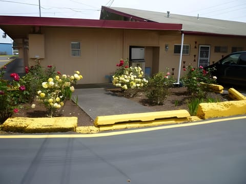 Exterior view