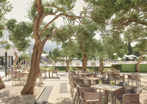 Bluesun hotel Neptun - All inclusive Hotel in Tučepi