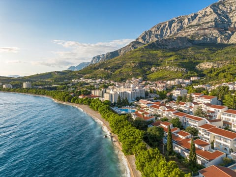 Surrounding environment