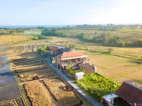 Surrounding environment