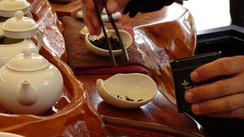 Argent Motor Lodge Motel in Hamilton