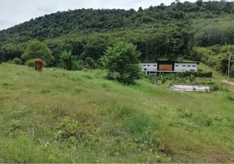 Surrounding environment