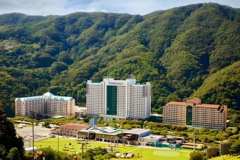 Property view