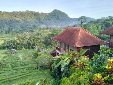 Beji Ayu Villas Sidemen Resort in Sidemen