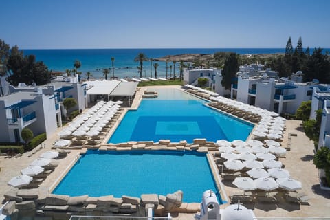 Swimming pool [outdoor]