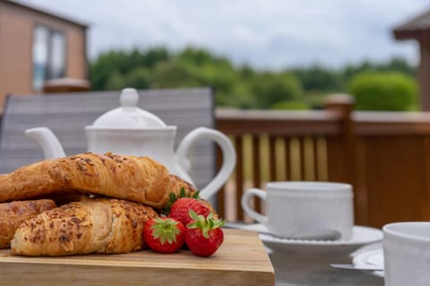 Driftwood Lodge Lodge in Ilfracombe