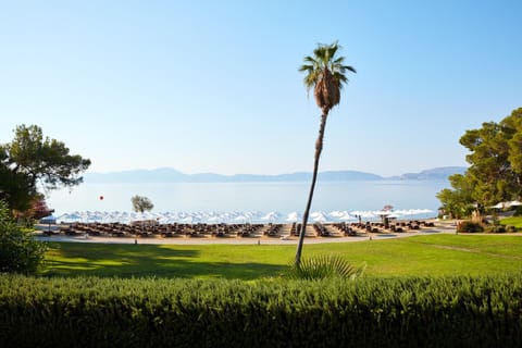Barcelo Hydra Beach Resort Resort in Argolis, Greece
