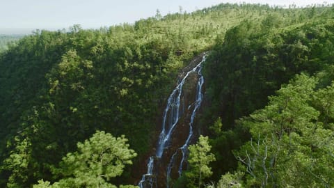 Surrounding environment