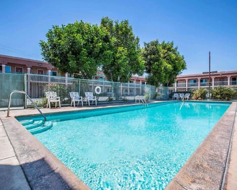 Swimming pool [outdoor]