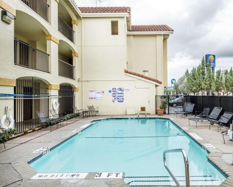 Swimming pool [outdoor]