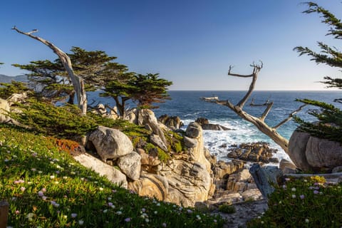 Home2 Suites by Hilton at the Dunes on Monterey Bay Hotel in Marina