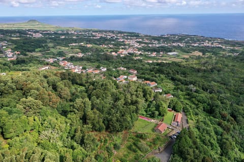 Surrounding environment