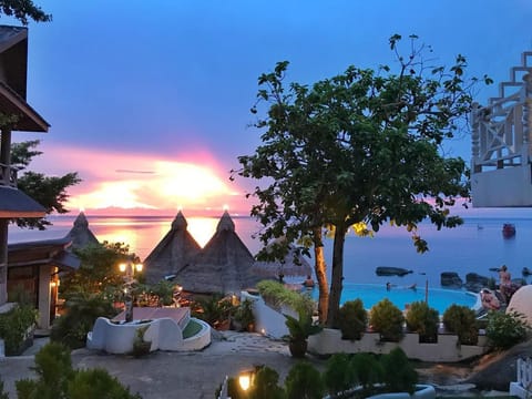 DD Hut Bungalows Resort in Ko Tao