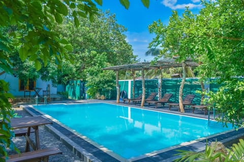 Swimming pool [outdoor]