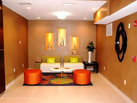 Holiday Inn Express & Suites St Louis Airport by IHG Hotel in Woodson Terrace